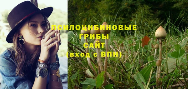 марки nbome Дмитриев